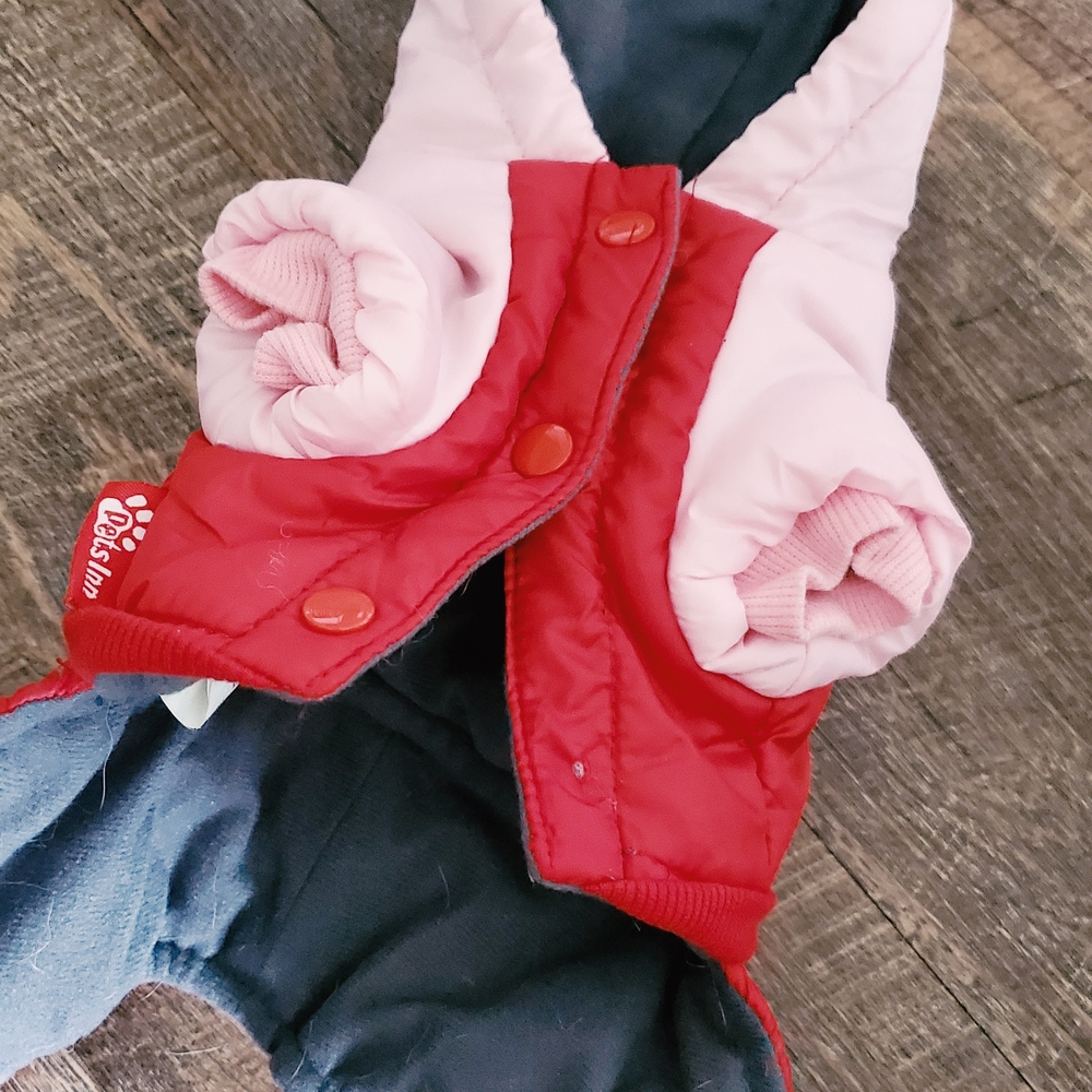 JACKET FOR BABY DOG 3-4 MONTH YEARS OLD. FOR BOY. NEW!!!